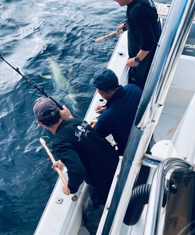 Crew leaning over the side to bring a fish aboard, seen from above.