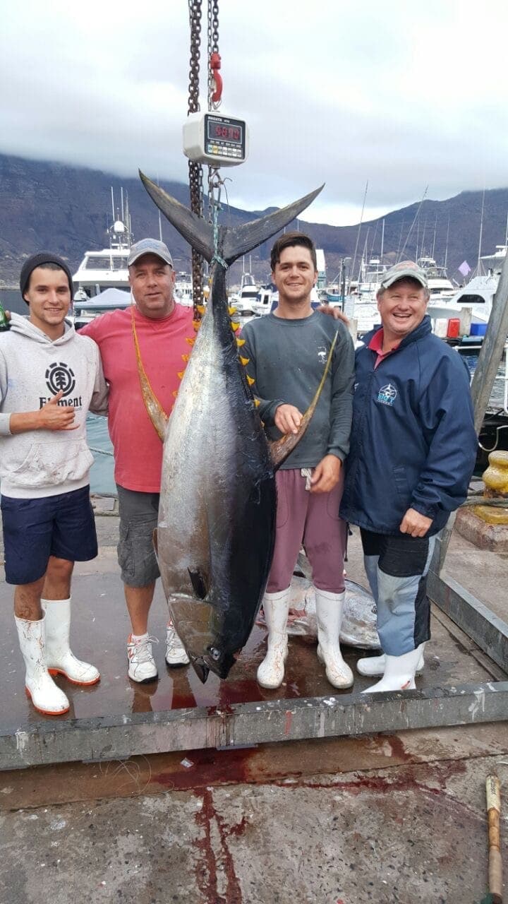 Four anglers on a harbour quay beside a very large tuna hanging from the weigh scale.