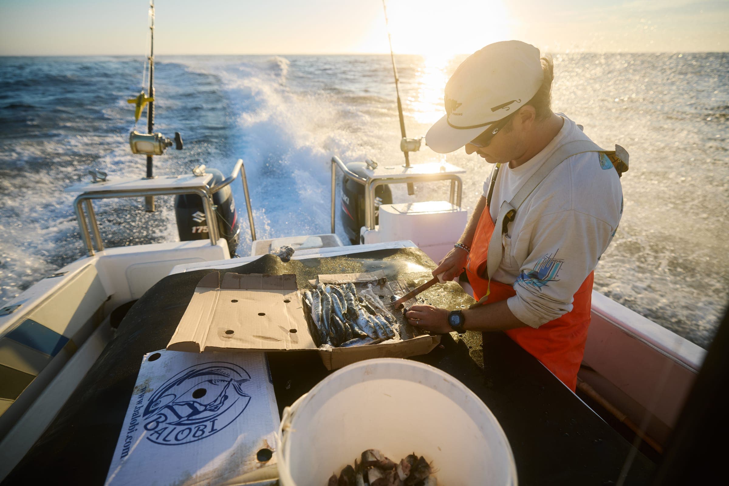 A crew member rigging baits at the transom while the boat runs out at sunrise.